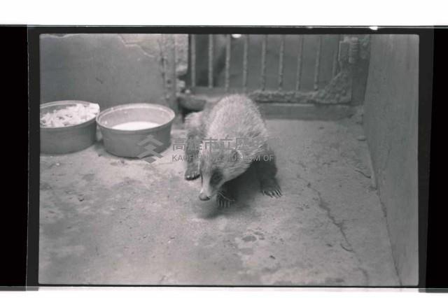 登錄號:KH2002.017.0247藏品圖，第3張