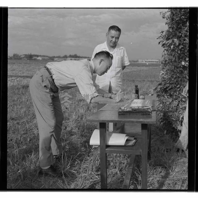 登錄號:KH2002.010.0005藏品圖，第3張