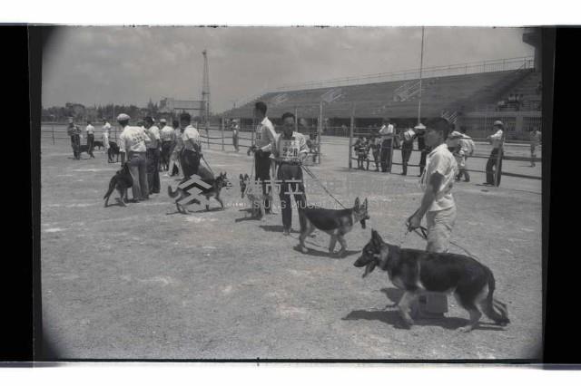 登錄號:KH2002.012.0545藏品圖，第3張