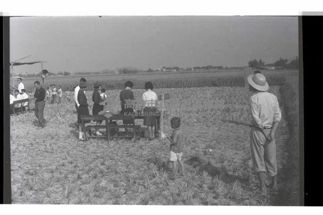 登錄號:KH2002.007.0269藏品圖，第3張