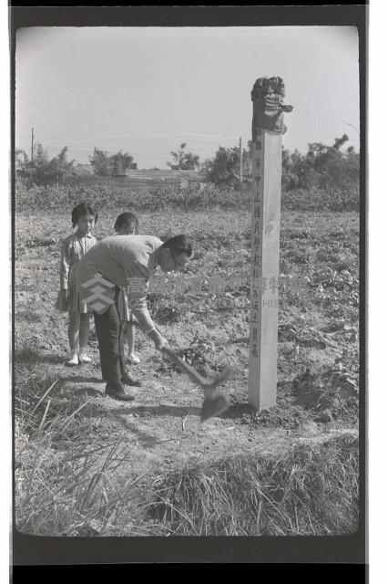 登錄號:KH2002.007.0219藏品圖，第3張