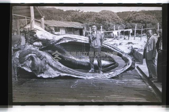 登錄號:KH2002.012.0153藏品圖，第3張