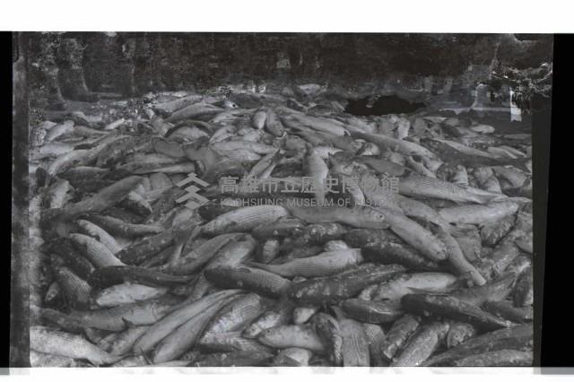 登錄號:KH2002.012.0633藏品圖，第3張