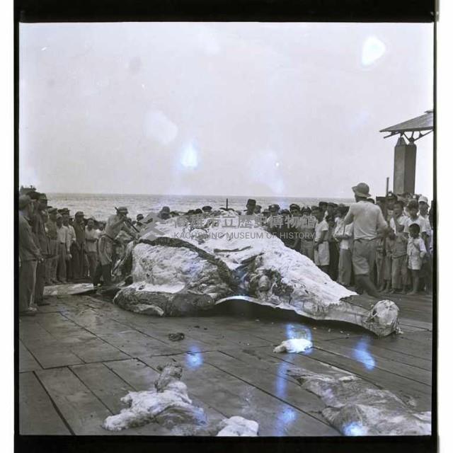 登錄號:KH2002.012.0003藏品圖，第33張