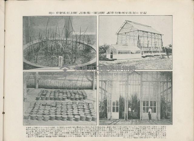 登錄號:KH2003.008.0176藏品圖，第27張