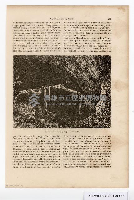 約翰‧湯姆生（John Thomson）的臺灣南部圖像藏品圖，第27張