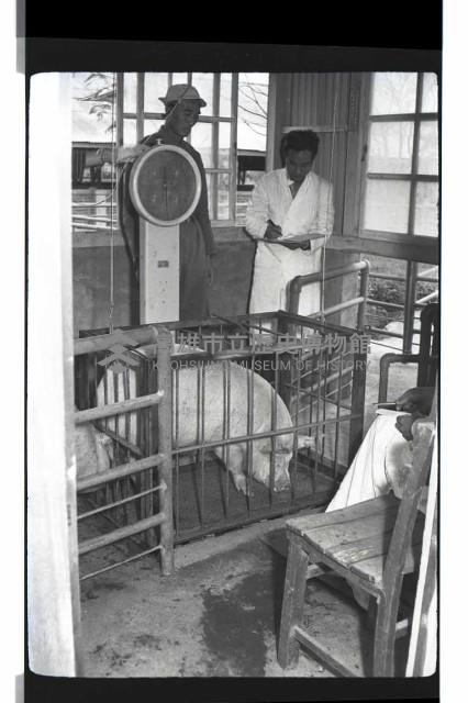 登錄號:KH2002.016.0074藏品圖，第27張