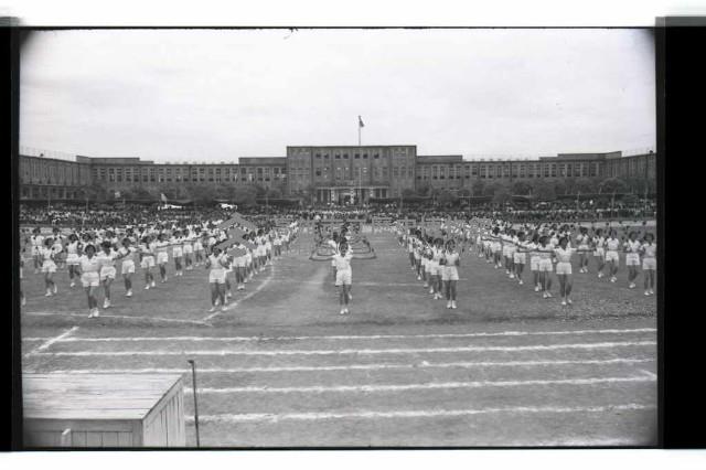 登錄號:KH2002.007.0195藏品圖，第27張