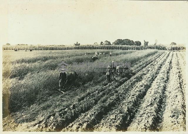 登錄號:KH2003.008.0179藏品圖，第27張