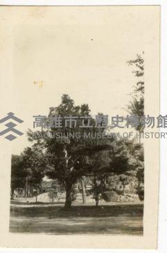 登錄號:KH2006.028.0018藏品圖，第167張