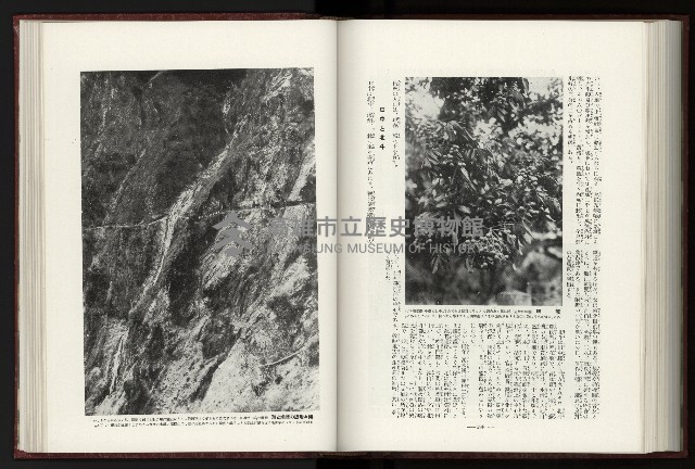 《日本地理風俗大系-  第十五卷 臺灣篇》藏品圖，第167張