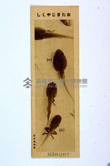 登錄號:KH2003.003.0086藏品圖，第68張