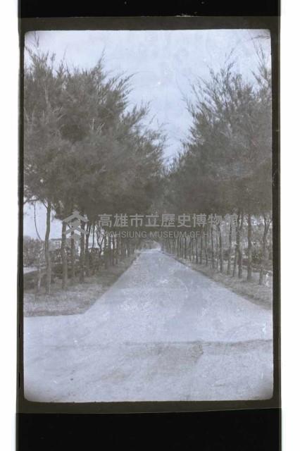 登錄號:KH2002.007.0229藏品圖，第67張