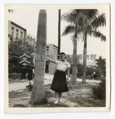 登錄號:KH2006.028.0009藏品圖，第247張