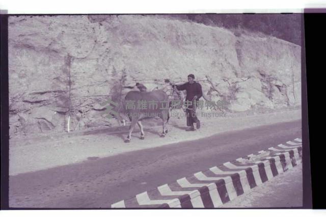 登錄號:KH2002.013.0046藏品圖，第47張