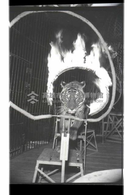 登錄號:KH2002.017.0161藏品圖，第47張