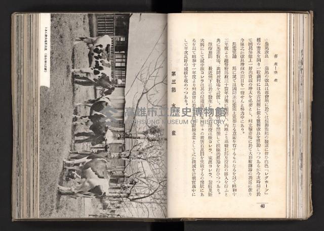 登錄號:KH2003.008.0167藏品圖，第47張