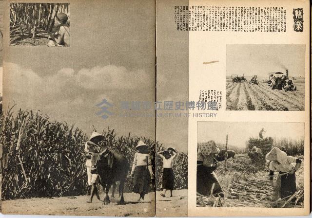 《南方の據點・臺灣寫真報道》藏品圖，第49張