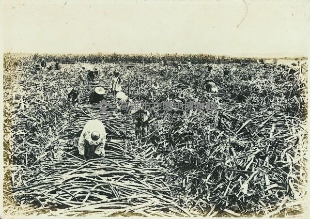 登錄號:KH2003.008.0179藏品圖，第47張