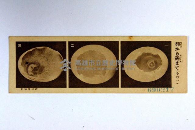 登錄號:KH2003.003.0086藏品圖，第78張