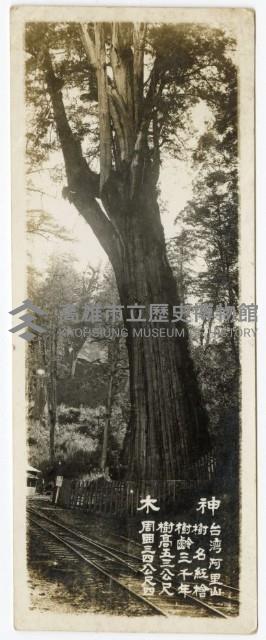 登錄號:KH2006.028.0008藏品圖，第57張