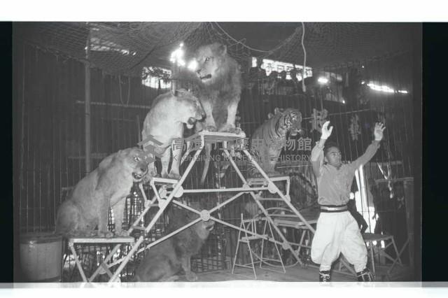 登錄號:KH2002.017.0161藏品圖，第57張