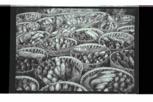 登錄號:KH2002.012.0765藏品圖，第57張