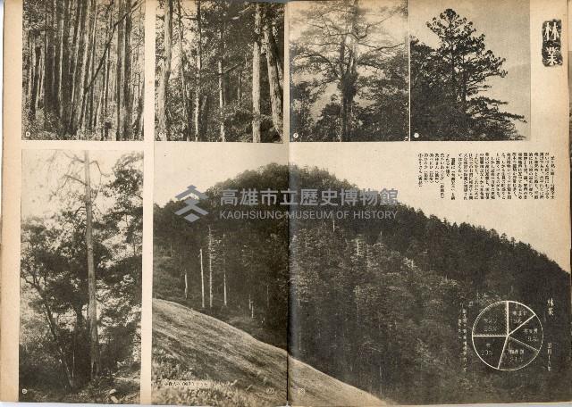 《南方の據點・臺灣寫真報道》藏品圖，第59張