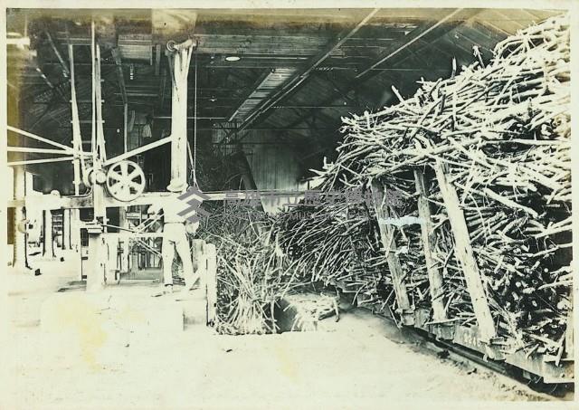 登錄號:KH2003.008.0179藏品圖，第57張