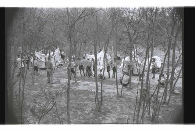 登錄號:KH2002.007.0320藏品圖，第17張