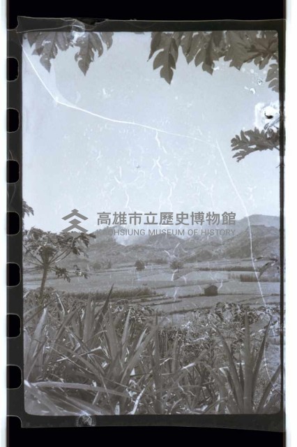 登錄號:KH2002.015.0046藏品圖，第17張