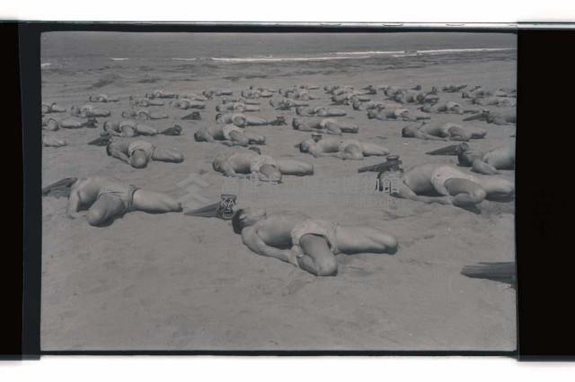 登錄號:KH2002.019.0021藏品圖，第17張