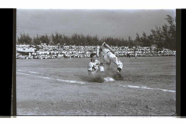 登錄號:KH2002.019.0317藏品圖，第17張