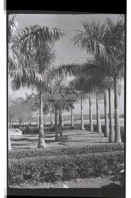 登錄號:KH2002.012.0409藏品圖，第17張