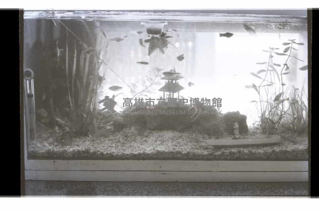 登錄號:KH2002.007.0233藏品圖，第17張