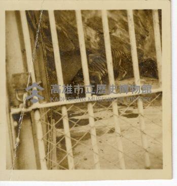 登錄號:KH2006.028.0008藏品圖，第7張