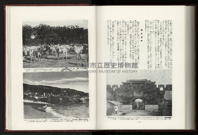 《日本地理風俗大系-  第十五卷 臺灣篇》藏品圖，第207張