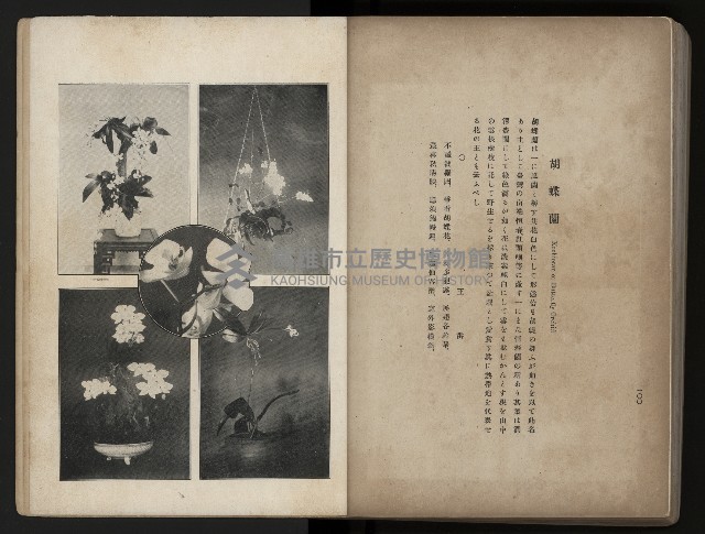 《臺灣寫真帖》藏品圖，第107張