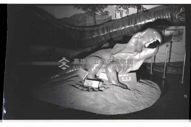 登錄號:KH2002.020.0008藏品圖，第7張