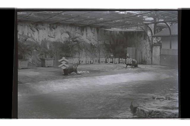 登錄號:KH2002.017.0238藏品圖，第7張