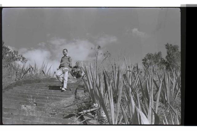 登錄號:KH2002.013.0030藏品圖，第7張