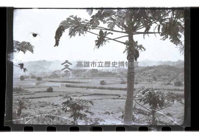 登錄號:KH2002.015.0046藏品圖，第7張