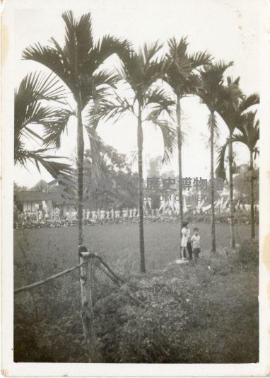 登錄號:KH2006.028.0011藏品圖，第7張