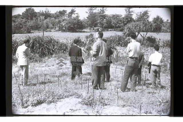 登錄號:KH2002.010.0102藏品圖，第7張