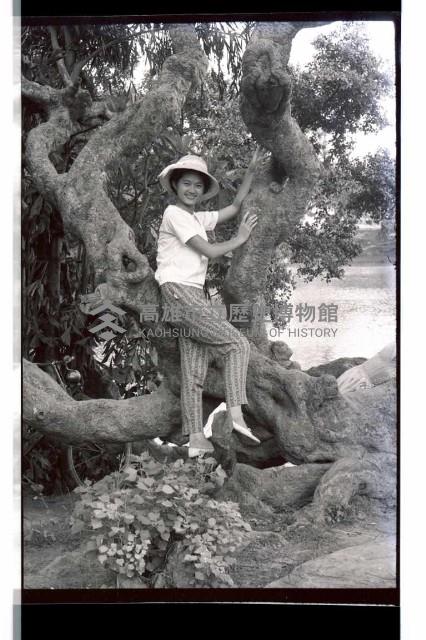 登錄號:KH2002.016.0052藏品圖，第7張