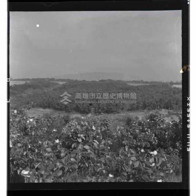 登錄號:KH2002.010.0072藏品圖，第7張