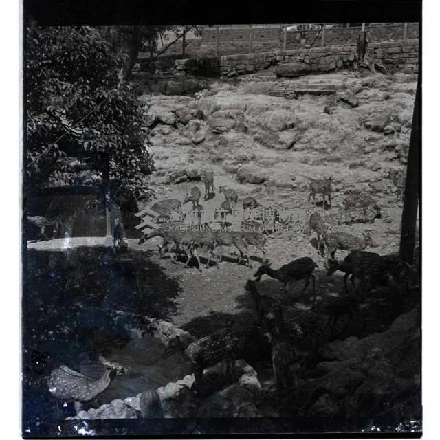 登錄號:KH2002.013.0007藏品圖，第7張