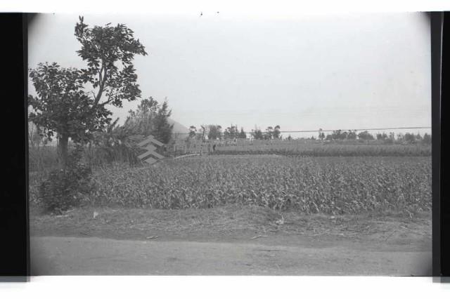 登錄號:KH2002.010.0087藏品圖，第7張