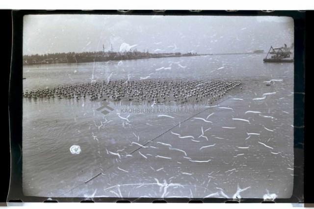 登錄號:KH2002.015.0045藏品圖，第7張