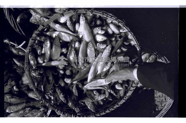 登錄號:KH2002.012.0435藏品圖，第7張